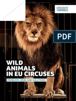 E4A Circus - Report Digital OK v2