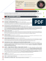 CV Martin Alcarraz PDF