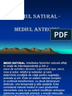 Mediul Natural