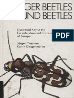 TRAUTNER-Illustrated Key Cicindelidae and Carabidae Europe PDF