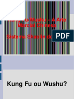 Kung Fu - Wushu A Arte. Marcial Chinesa. Sistema Shaolin Do Norte