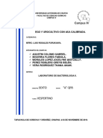 EGO y Urocultivo Con Asa Calibrada