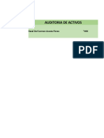 AUDITORIA DE ACTIVOS.xlsx