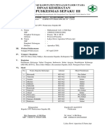 Laporan Pelaksanaan Kegiatan Pispk