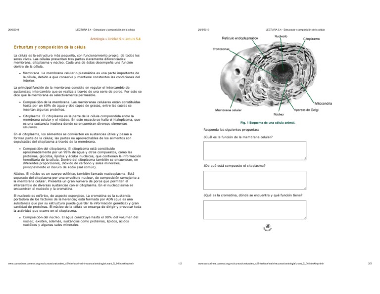 Estructura y Composición Celular | PDF | Citoplasma | Biología Celular)