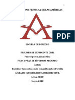 Expediente Civil - Prescripción Adquisitiva PDF