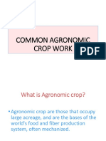 Agronomic Crop