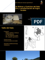 PDF Paola Silva PDF