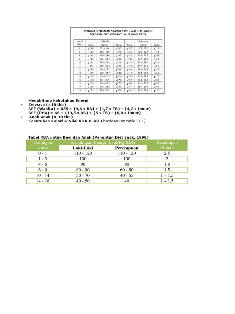 Tabel RDA Gizi Anak dan Perhitungan | PDF