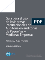 GUIAS2.pdf