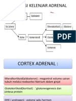 Fisiologi Kelenjar Adrenal