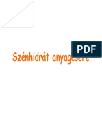 Szenhidrat Anyagcsere - 2009 PDF