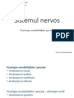 fiziologia_sistemului_nervos_analizatorii