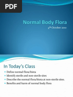 Download Normal Body Flora PPT by Shauntelle Winchester SN44423098 doc pdf