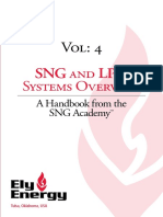 SNG and LPG Systems Overview PDF