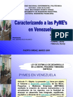 Caracterizando PYMES en Venezuela
