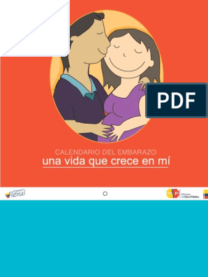 Diario de mi Embarazo - Para registrar los 9 meses más especiales de tu  vida - Mi Agenda embarazo Regalos para mamas embarazadas (Paperback) 