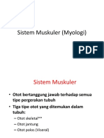 Sistem Muskuler (Myologi)