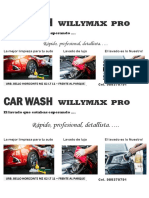 Car Wash Willy Max Pro