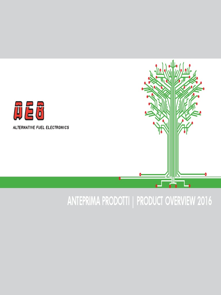 AEB Alternative Fuel Electronics Overview | PDF | Emulator | Fuel Injection