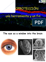 Neuroprotección PDF