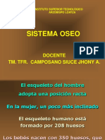 Sistema Oseo Loayza PDF