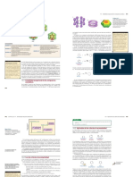 Aromaticos PDF