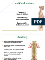 Spinal Cord Lesions 1