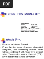 Presentation On Internet Protocol by Abdullah