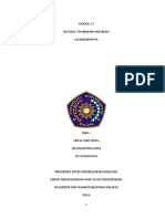 Chlorophyta PDF