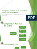 Componentes Macerales Carbon - Vitrinita