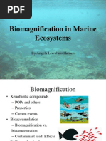 Download Biomagnification in Marine Ecosystems by Angela Hansen SN44428988 doc pdf