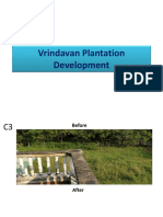 Vrundavan Plantation Development