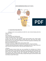 Anatomi Fisiologi Sistem Reproduksi Pria Dan Wanita.