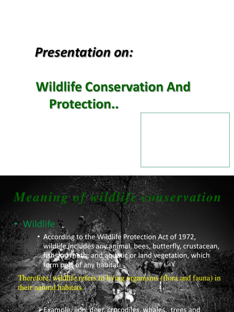 Presentation Wildlife Conservation Utkarsh (PPT) 1460538410 201563 ...