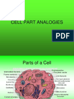 Cell Parts and Their Analogies