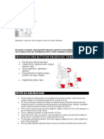 426609006-Ručno-Prenošenje-Tereta-Na-Pravilan-Način.doc