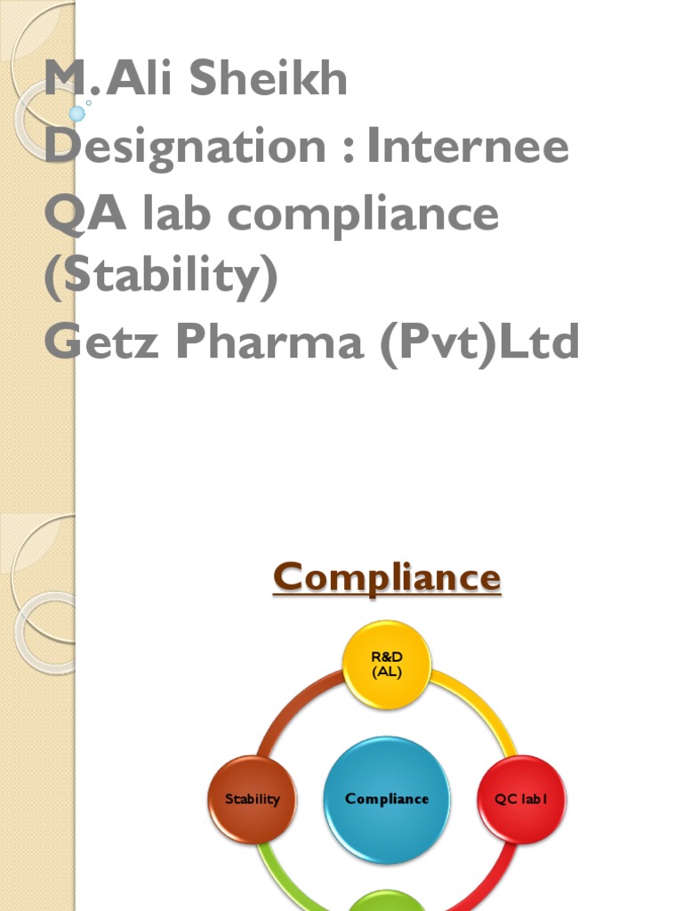Document Outlining the Organizational Structure and Responsibilities