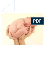 Desarrollo de Cara y Cuello. Embriología Médica 