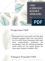 CKD (Chronic Kidney Disease)