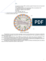 Virusul gripal A_H1N1_de origine porcina.pdf