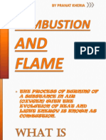 Pranat Combustion and Flame