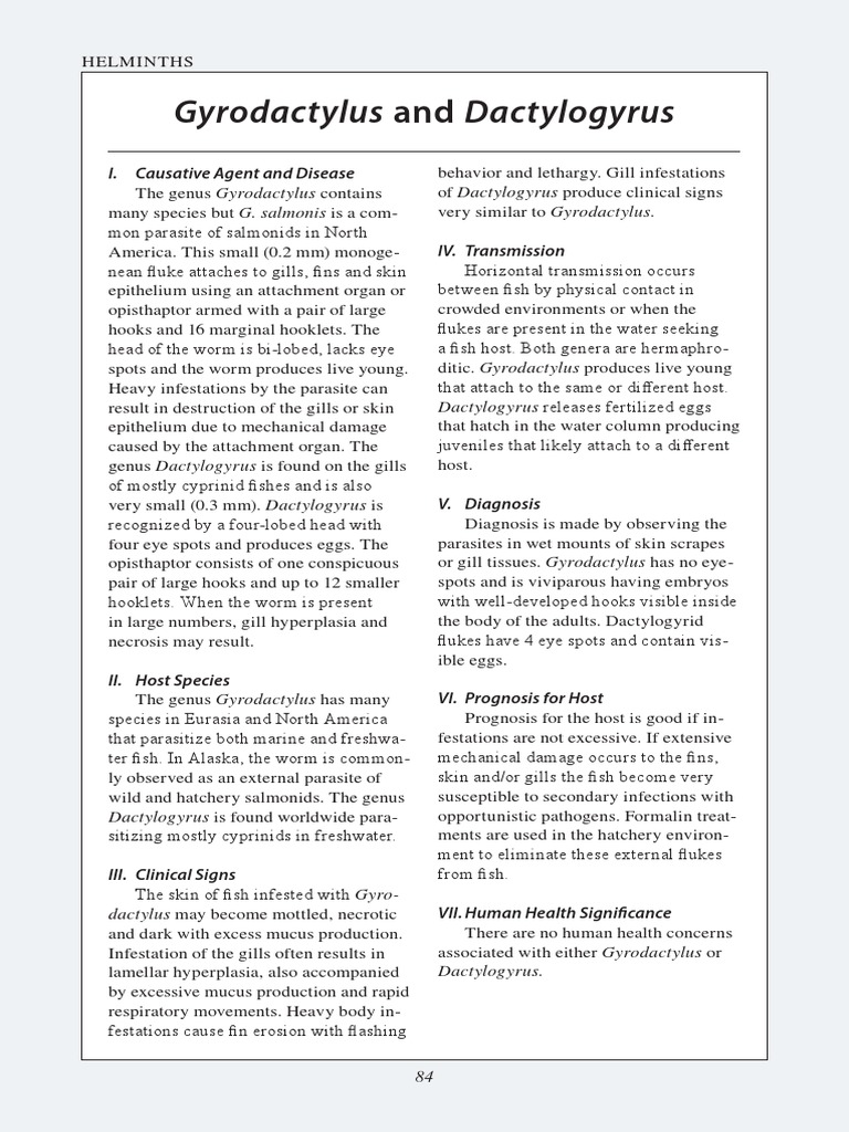 Gyrodactylus vs Dactylogyrus Overview | PDF | Parasitism | Diseases And ...