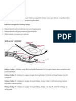 BIDANG HODGE DALAM PERSALINAN