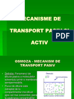 4-MECANISME DE