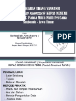 Pengolahan Udang Vannamei Kupas Mentah Beku di PT. Panca Mitra Multi Perdana