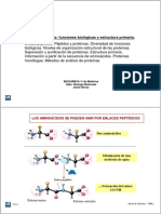 Tema4 Proteinas PDF