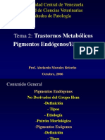 Pigmentos Exogenos IIclase Final