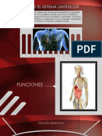 Sistema Linfatico ANATOMIA