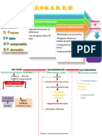 Patogenia Del Desgarro PPT Universidad